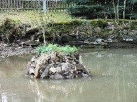 Sanierung Pfarrteich in Lobsdorf